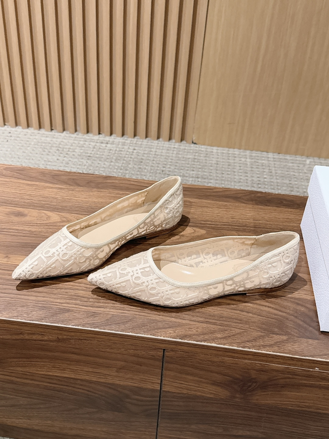 Dior Mesh Oblique Pointed Flats
