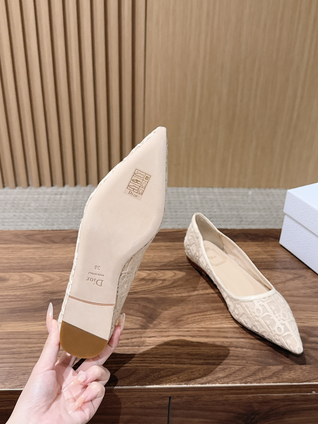 Dior Mesh Oblique Pointed Flats