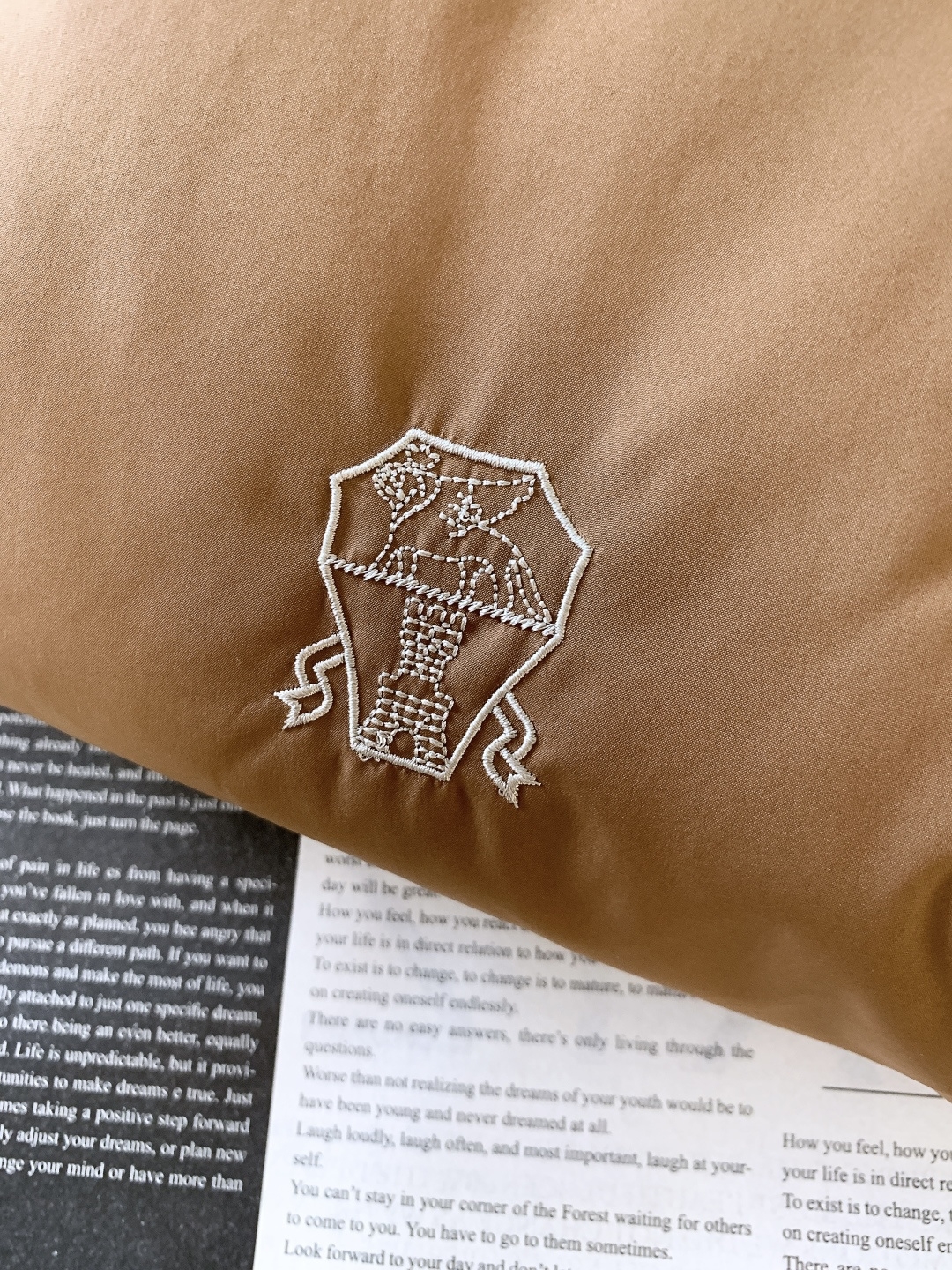 Brunello Cucinelli 布鲁奈罗.库奇内利 2025FW秋冬新品BC男士连帽马甲背心，低调