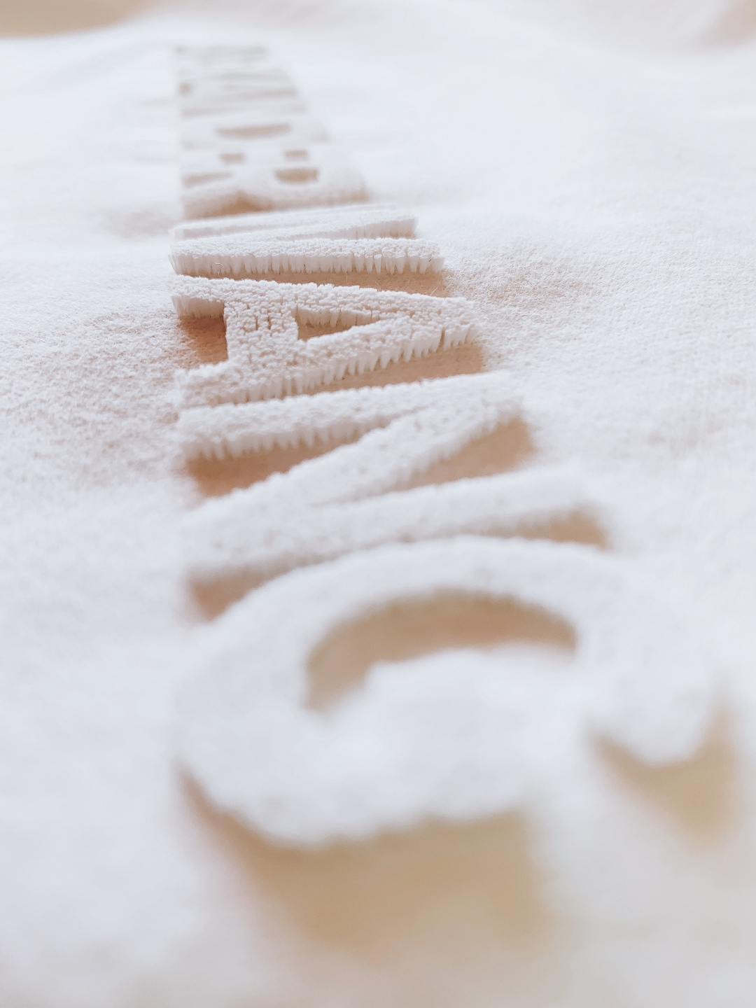 Aalxanderwang亚历山大.王 2026SS早春新品 牙刷绣短袖T恤重磅上新！甄选230g定制高