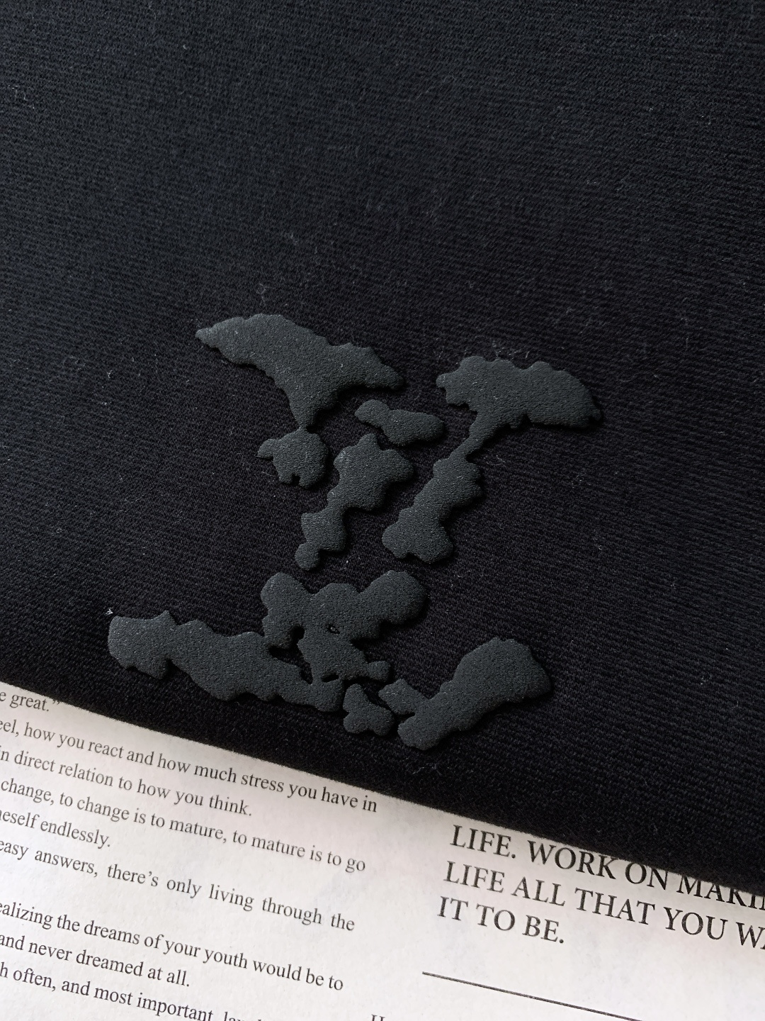 ⚠️🌾LouisVuitton 路易威登 2026SS早春新品云朵压印Logo短袖T恤。280g高支高密