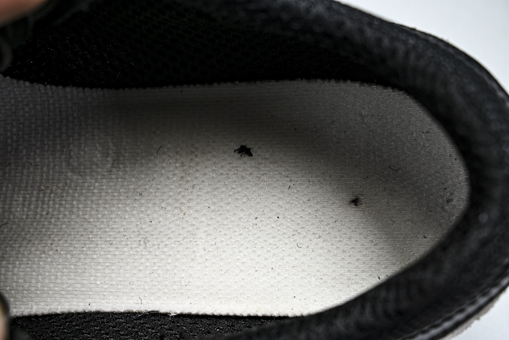 香奈儿 尺码35-40纯原版出品-Chanel香奈儿 25K新款 白色粗跟4cm百搭德训鞋运动鞋YZ02