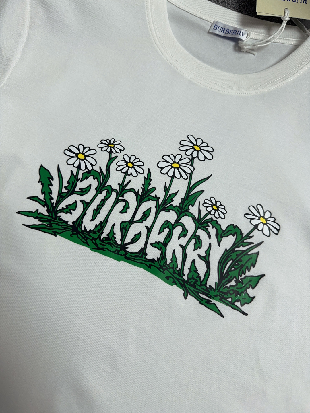 cmp i1741608037239 5594 0 3