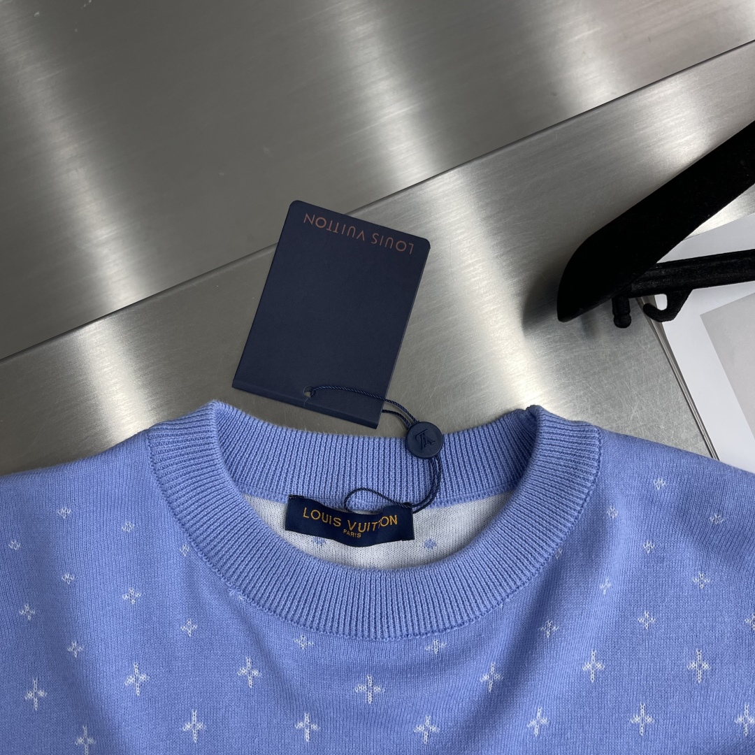 Louis Vuitton 2025 Spring/Summer Blue Cotton T-Shirt with Floral Pattern 4 cmp i1743335221539 6693 0 0