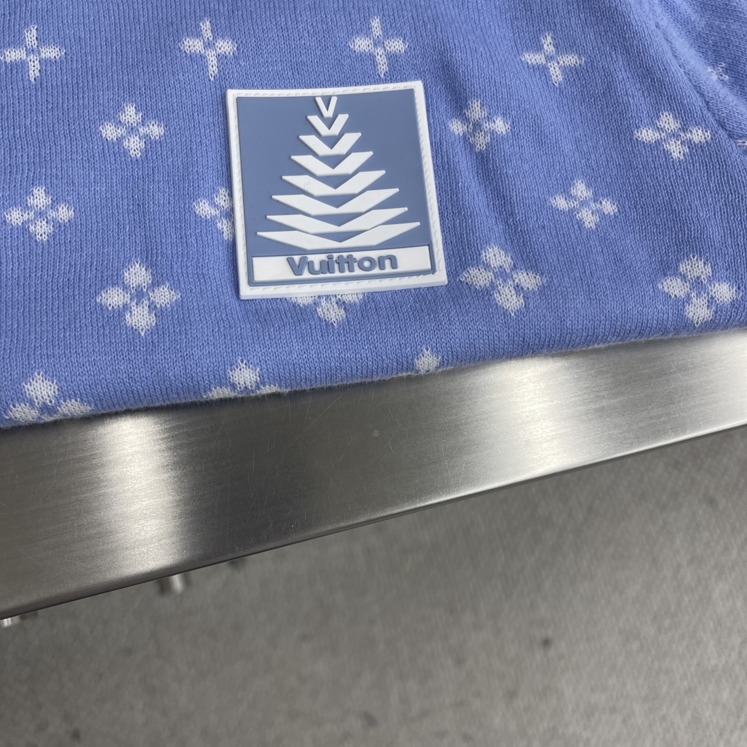 Louis Vuitton 2025 Spring/Summer Blue Cotton T-Shirt with Floral Pattern 5 cmp i1743335221543 4418 0 1