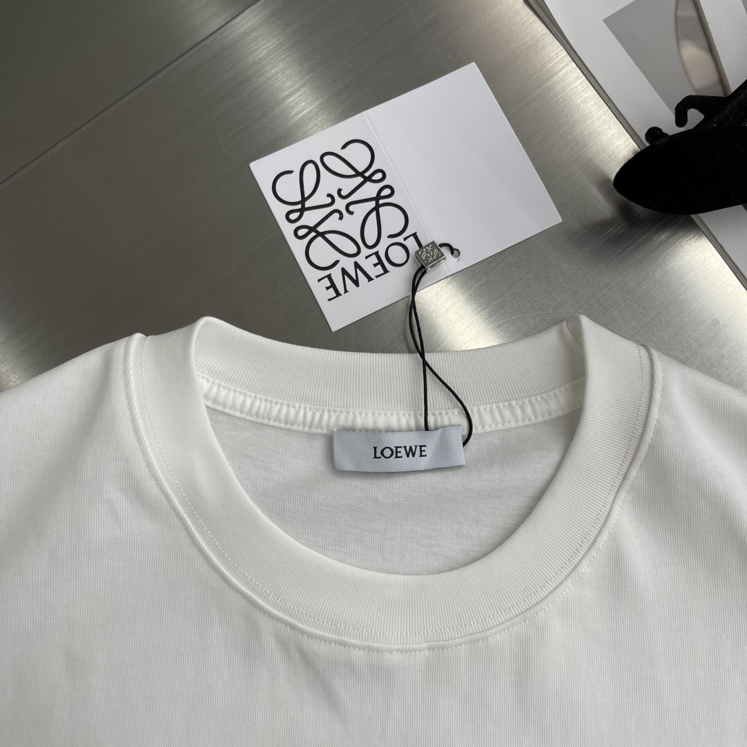 LOEWE Spring/Summer T-Shirt with Embroidered Bird and Logo Design 4 cmp i1743934376605 4792 0 0
