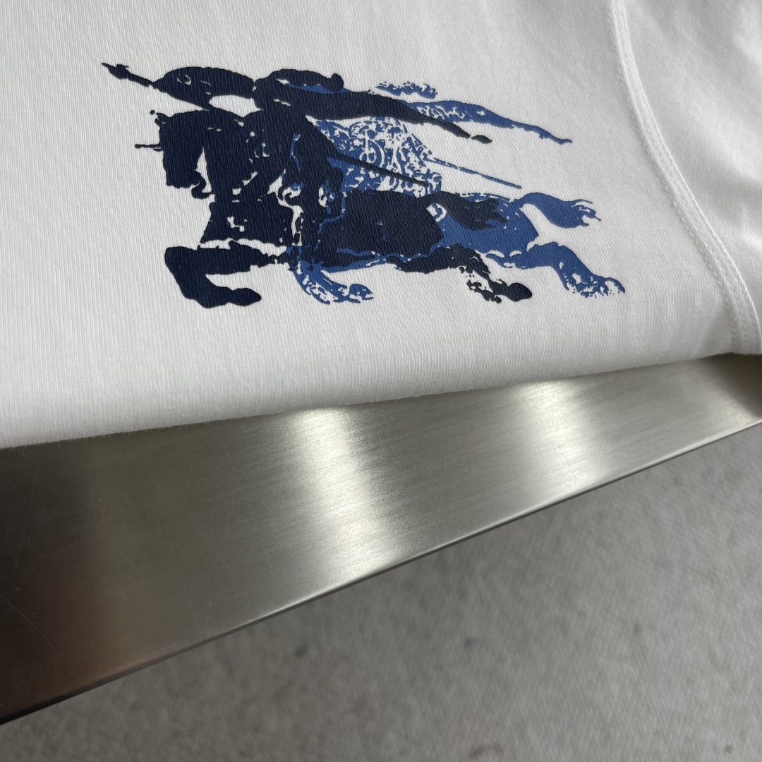 Burberry 2025 Spring/Summer Short Sleeve T-Shirt with Burnout Logo Design 5 cmp i1744437475034 4839 0 1