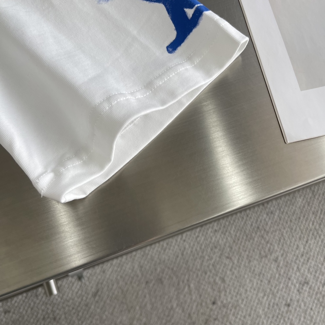 Louis Vuitton 2025 Spring/Summer White T-Shirt with Blue Logo Prints 5 cmp i1744885779291 7178 0 2