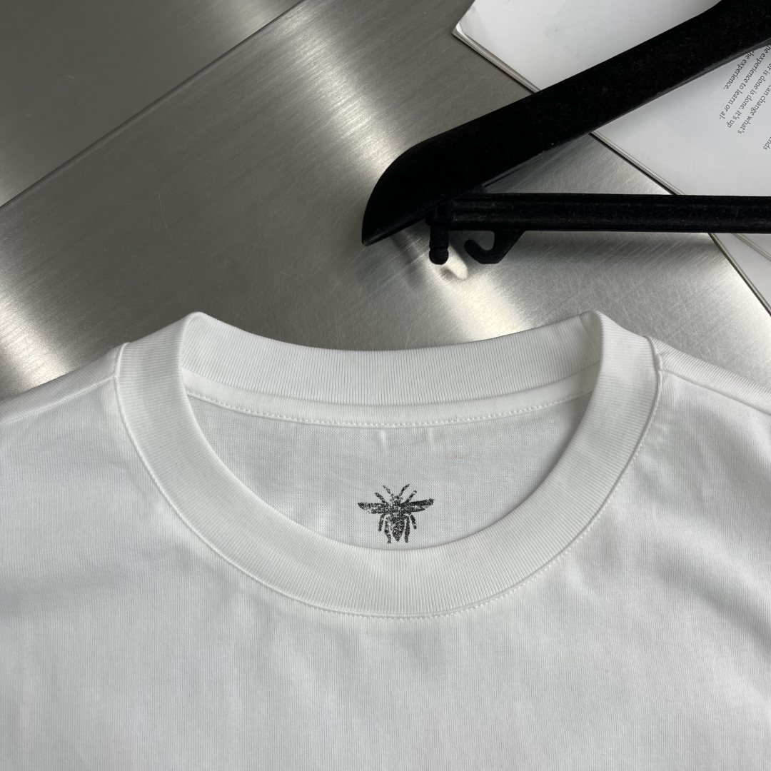 Dior Men's 2025 Spring/Summer White Cotton T-Shirt with Distressed Logo 3 cmp i1745410610709 6920 0 0