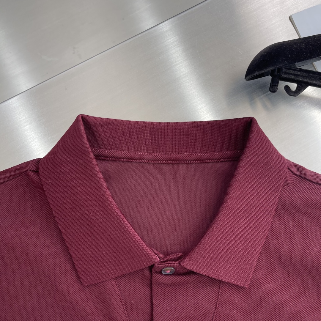Loro Piana Men's Polo Shirt - Classic Fit, Premium Fabric, Versatile Style 3 cmp i1746443420664 5757 0 0