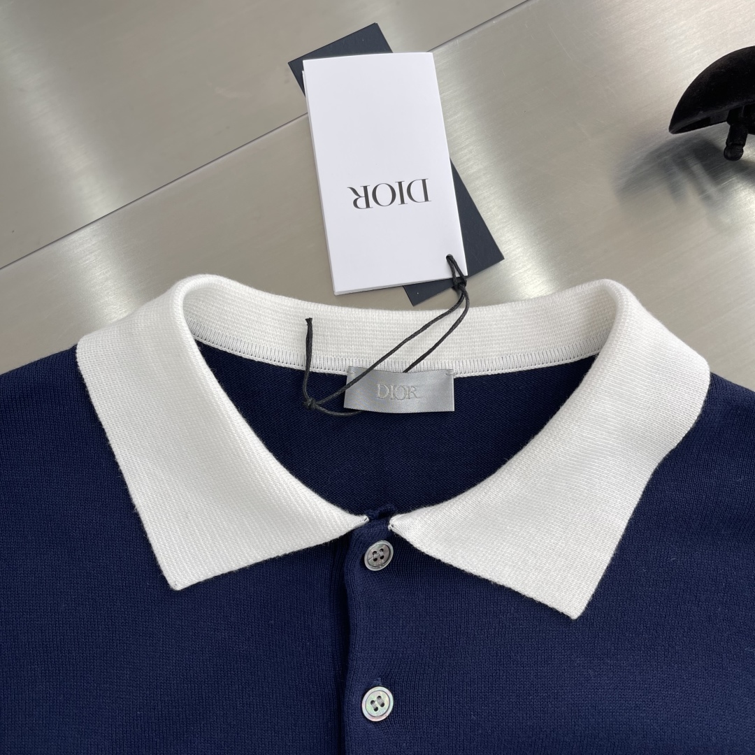 Diorio Couture Lily Embroidery Polo Shirt Blue Cotton Casual Fashionable 3 cmp i1746956572592 2619 0 0
