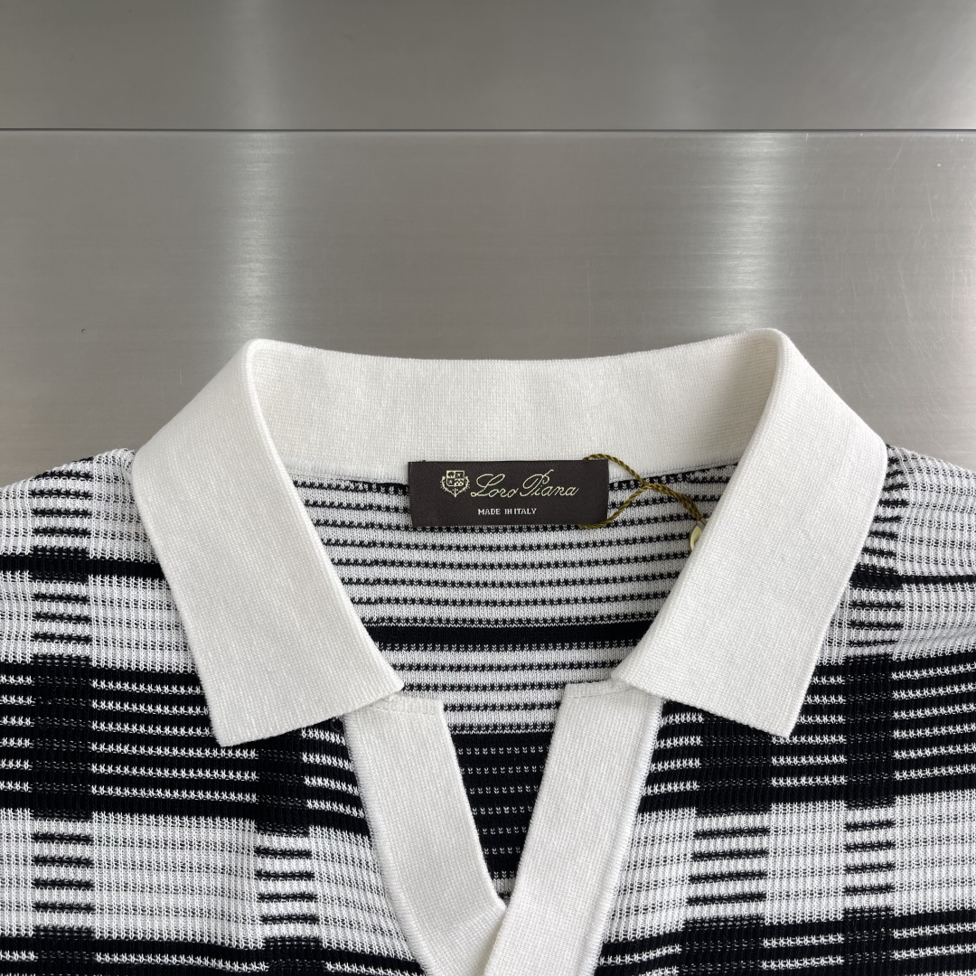 Loro Piana 26SS Tee,T-shirtpolo shirt 4