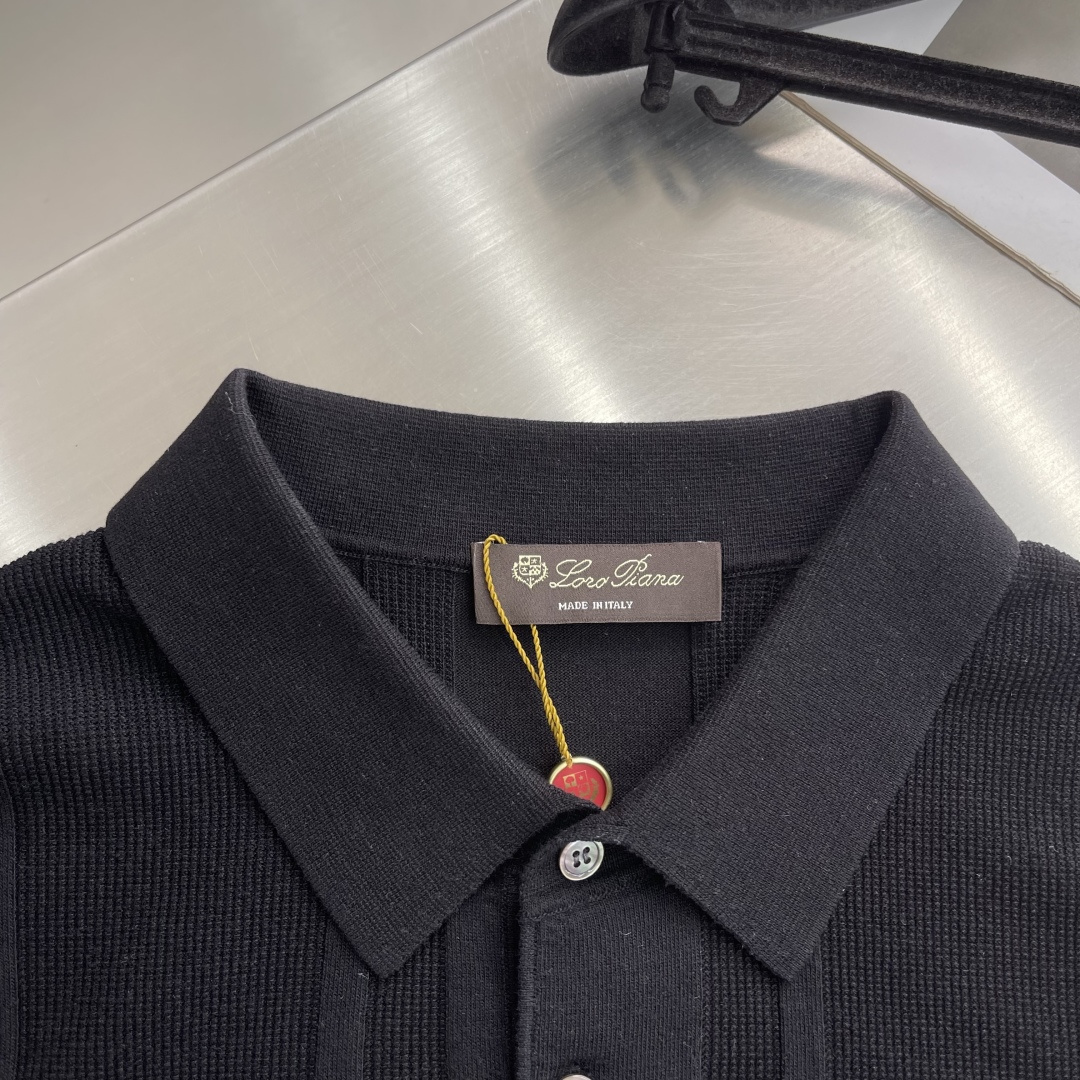 Loro Piana 26SS Tee,T-shirtpolo shirt 4