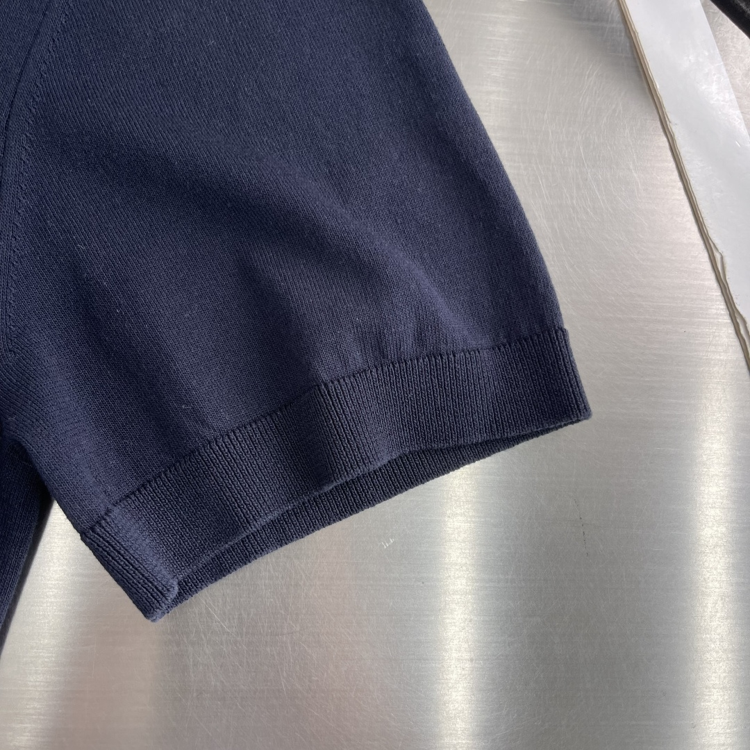 Loro Piana 26SS Tee,T-shirtpolo shirt 6