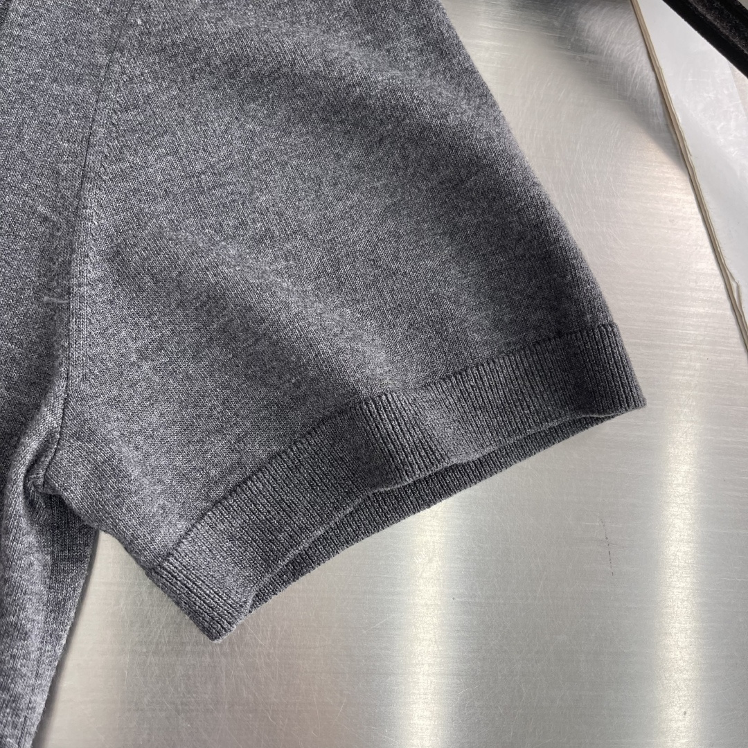 Loro Piana 26SS Tee,T-shirtpolo shirt 6