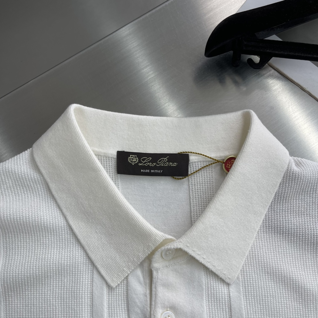 Loro Piana 26SS Tee,T-shirtpolo shirt 4