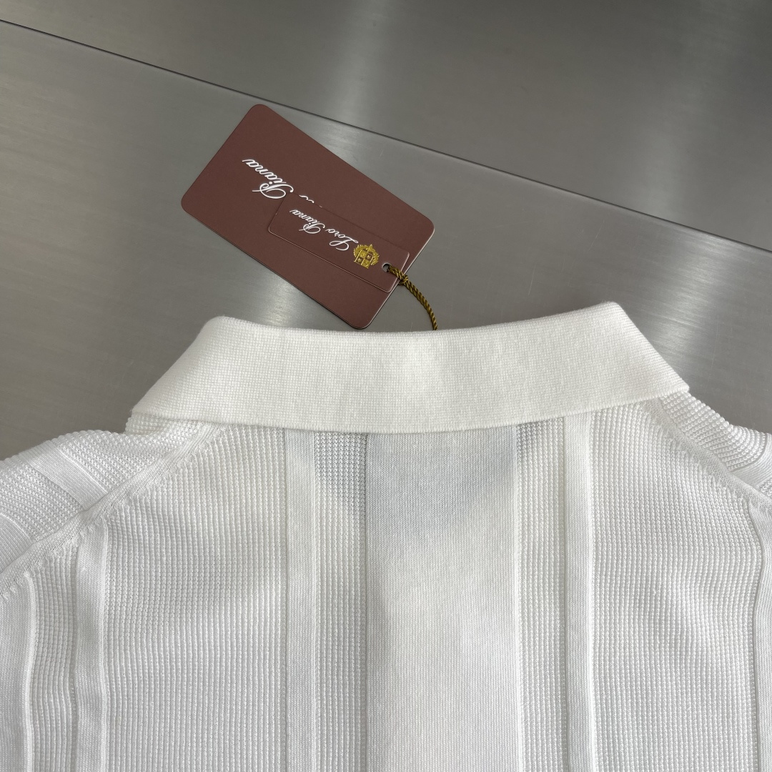 Loro Piana 26SS Tee,T-shirtpolo shirt 8