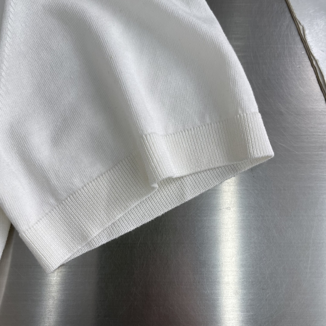 Loro Piana 26SS Tee,T-shirtpolo shirt 6