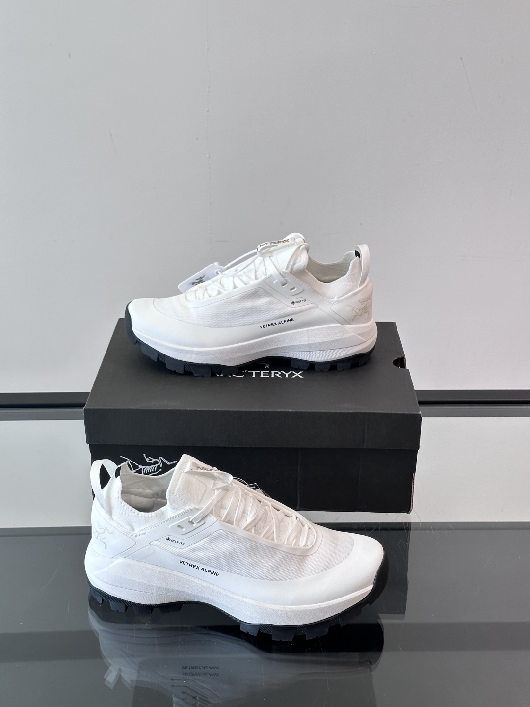 🐦始祖鸟 Vertex AlPine GTX，始祖鸟防水防滑耐磨低帮徒步鞋 Black SaPPhire