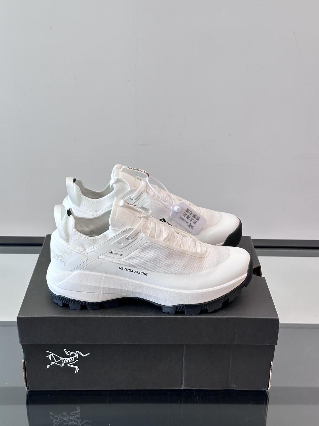 🐦始祖鸟 Vertex AlPine GTX，始祖鸟防水防滑耐磨低帮徒步鞋 Black SaPPhire