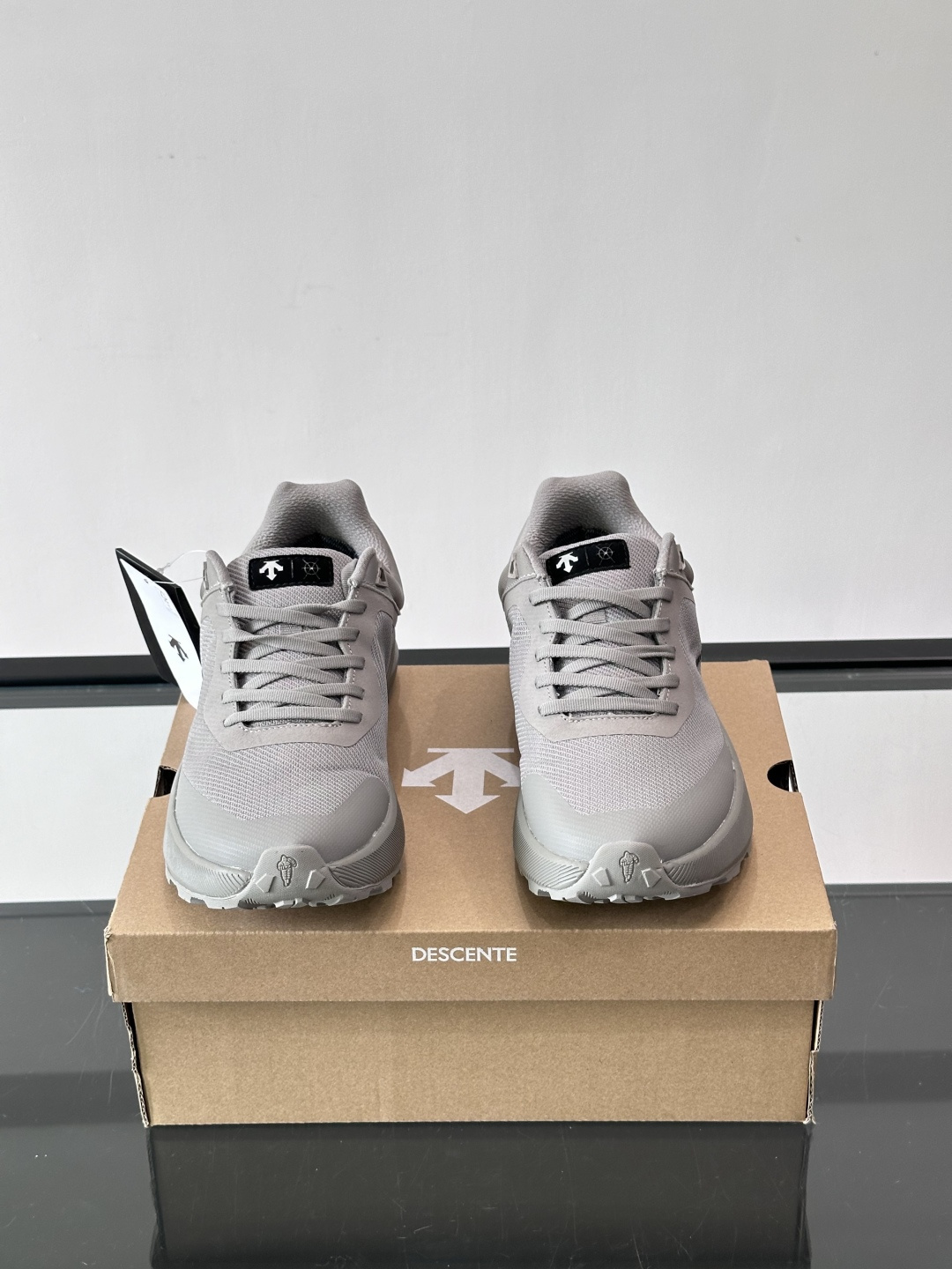 迪桑特DUALIS GTX休闲鞋，简约设计，GORE-TEX防水透气，米其林鞋底抓地力强又耐磨。鞋面网布