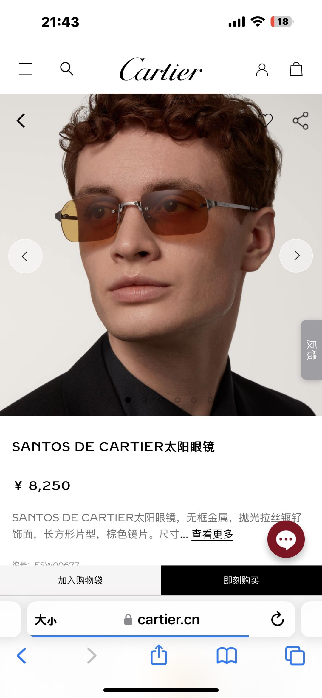 Cartier Santos de Cartier