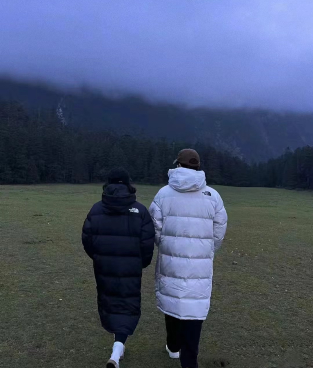 正品级💰480（下单备注颜色和码数！）𝗧𝗛𝗘 𝗡𝗢𝗥𝗧𝗛 𝗙𝗔𝗖𝗘｜北面长款印花系列  FW23/ 连帽羽绒服

产品配色：黑色 白色

码数：XS S M L XL XXL 

顶级原版复刻版本就是指目前国内最高版本（没有之一）（匠心做一件放到专柜就是ZP的衣服）

1⃣️ 进口barudan/百灵达绣花机定制万针电绣，采用进口7号针，进口绣线，保证每字饱满、立体、清晰，可称最贵绣标！

2⃣️采用国标90白鸭绒填充，保暖性能更出色，轻便不厚重，压缩后的蓬松度恢复性好！ 

3⃣️原厂定制40D格子四级防水布料，独家采用原版一致单层布料做法【非市面通货内加胆布】，采用单层布料考验了布料及羽绒必须要达标，防止跑绒，并保证手感及膨松度，内里采用尼龙nylon双重双层封禁设计，不会出现任何跑绒现象，内置抽拉绳扣的可调节下摆，可防风防寒！ 

4⃣️拉链采用吉田YKK原厂定制，刻字清晰，质感完美顺滑.

5⃣️辅料及扣子均采用原版一样铜芯弹簧【非市面铁芯弹簧】

北面羽绒服，不吹嘘，目前能比我们做的更好的几乎没有！
用心做一件原版产品，让每一位客户有底气去给他的客户介绍说：这个是国内最顶级复刻版本。
好的产品不需要过多软文去衬托，
只有垃圾产品才会吹嘘：原单ZP 用洒洒洋洋几千字来打动消费者！
虽是F货但不输ZP！
支持15天无理由退货（不影响二次销售）
