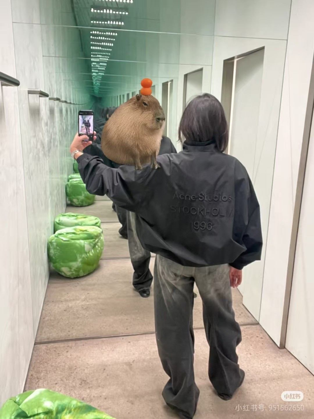 NO:308446,upper body reference picture, alexander wang19860909上身参考图,,alexander wang,Women's clothing