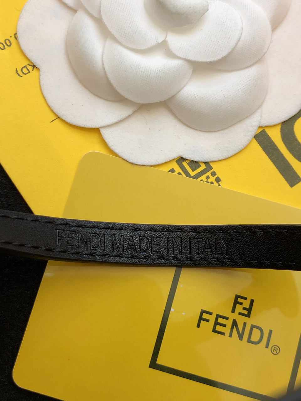 p150 hipsters with the new FENDI FANDI FINDI, the little monster, the real one - 图片 5