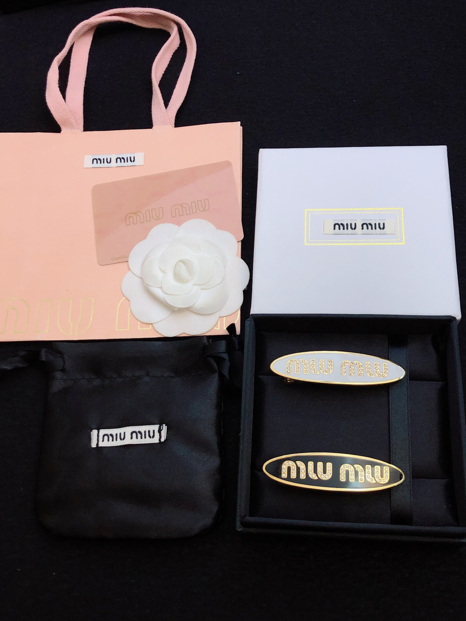Miu Miu Hairpin Collection: New Logo Springs and Sea-Plugs for Everyday Elegance - 图片 1
