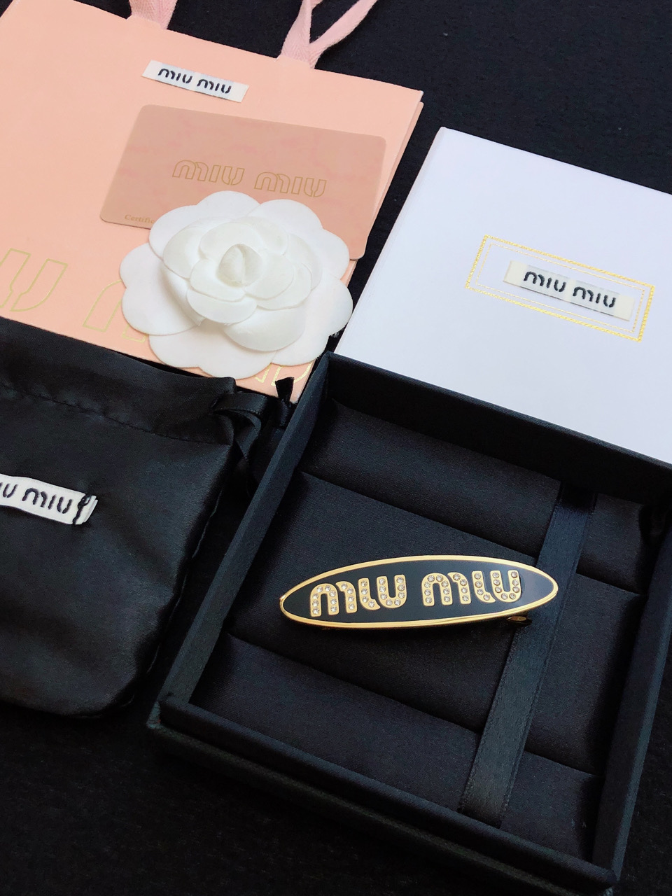 Miu Miu Hairpin Collection: New Logo Springs and Sea-Plugs for Everyday Elegance - 图片 2