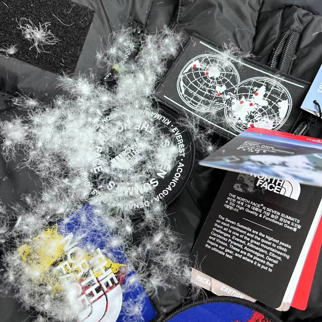 The North Face 7 Summits GTX ダウンパーカー 800FP 防寒 防水 ブラック