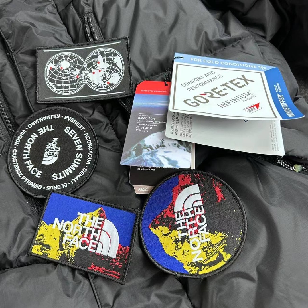 The North Face 7 Summits GTX ダウンパーカー 800FP 防寒 防水 ブラック