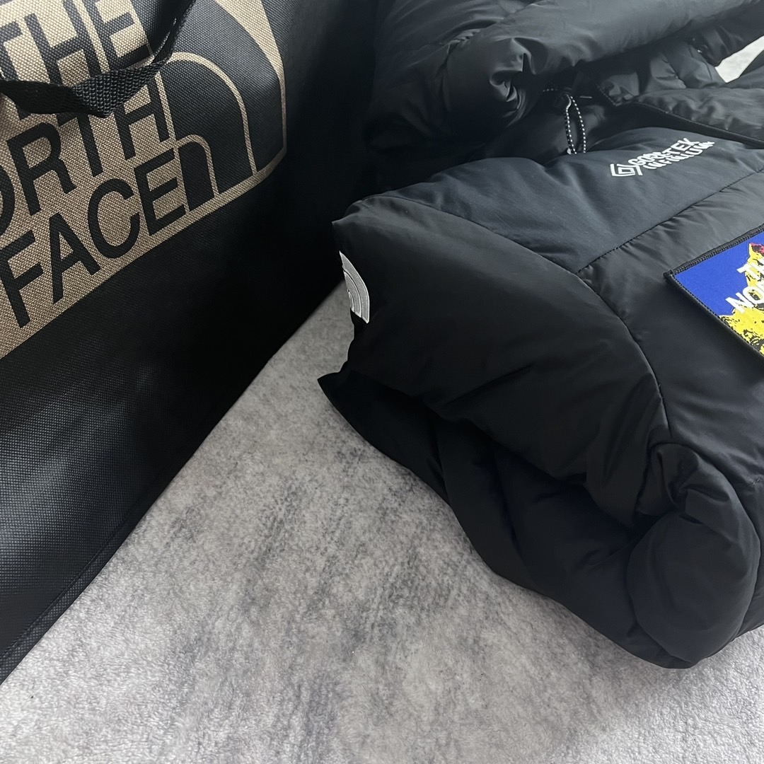 The North Face 7 Summits GTX ダウンパーカー 800FP 防寒 防水 ブラック