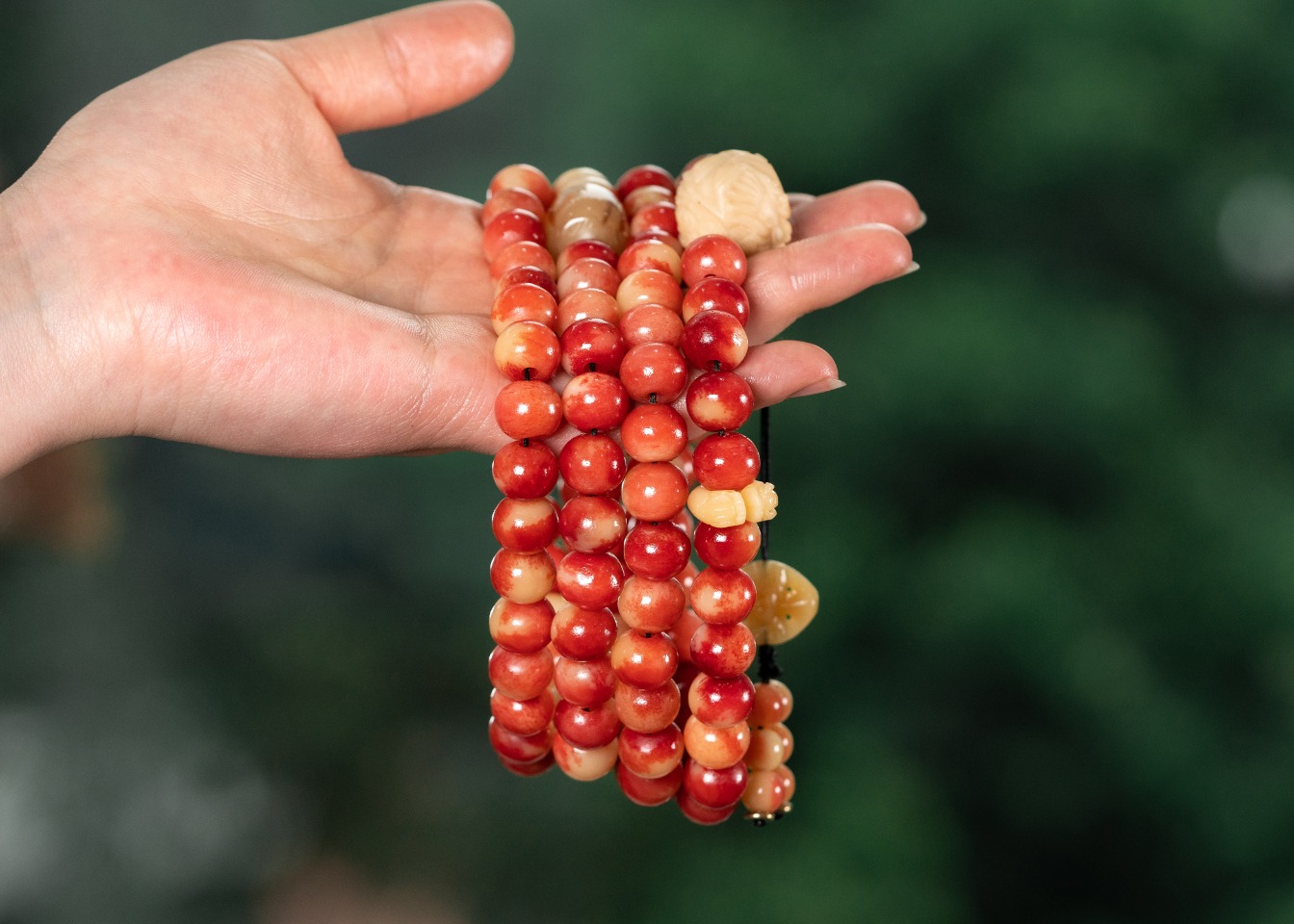 代理价269
——骆驼骨•108佛珠——约8mm——搭配：象牙果雕龙吐珠三通、驼骨背云、驼骨卡子、牦牛角桶珠🙏🙏🙏佩戴转运的功效，（图片展示12mm）一切脏东西不敢靠近，佩戴以行至山野林间  鬼魅邪兽 皆以避之 不敢近前 ！生意人必备