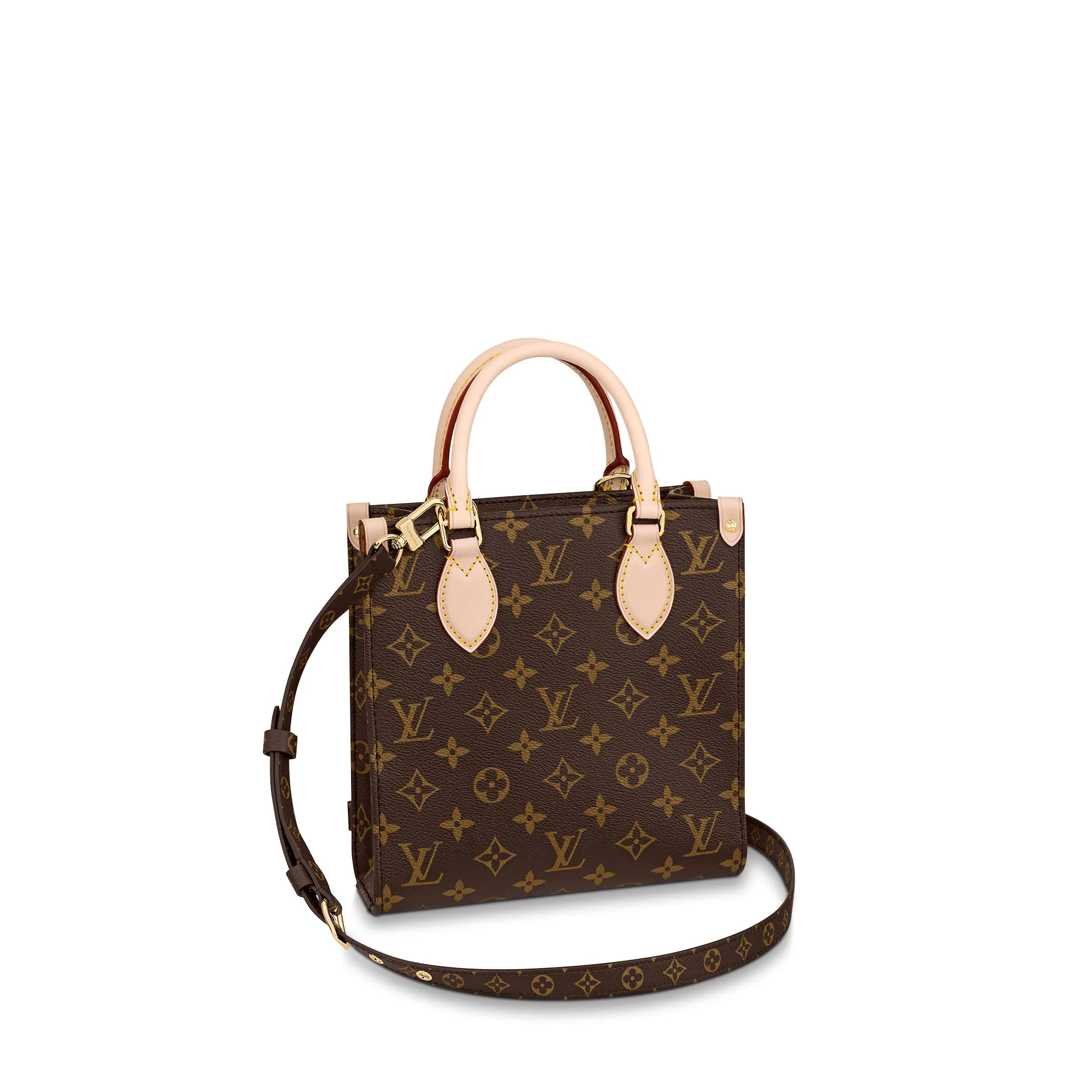Louis Vuitton Monogram Canvas Pochette Bag