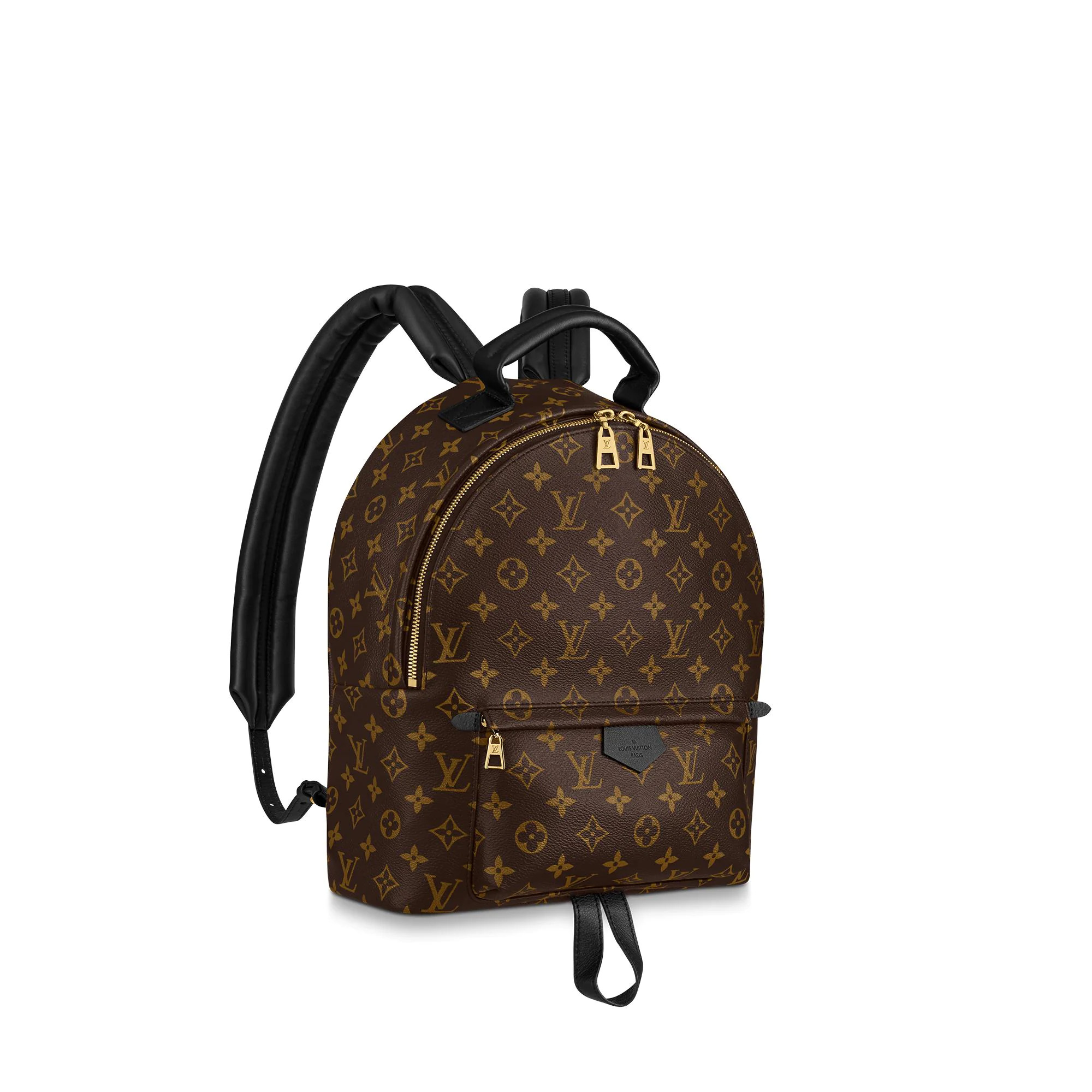 Louis Vuitton Multi Pochette Accessoires Monogram Canvas Crossbody Bag