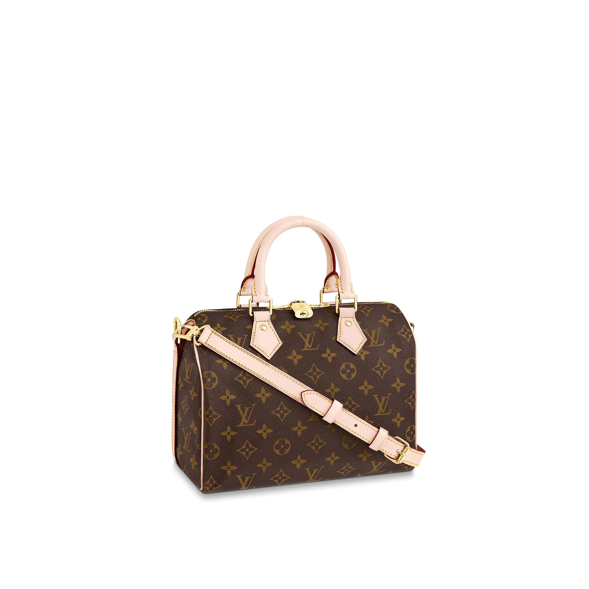 Louis Vuitton Palm Springs Backpack PM Monogram