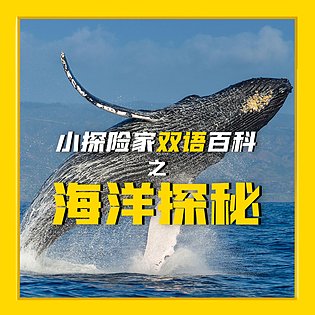 [9.99[红包]《博雅小学堂-国家地理丨小探险家双语百科之海洋探秘》]国家地理海洋百科双语微课，涨知识，学英语，助理解，拓视野[赏金猎人会员专享5折拿货][合伙人返佣30%、代理返20%、会员返10%]