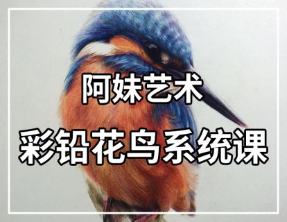 【众筹19.9[红包]·《阿妹艺术学院-阿妹艺术·双十一活动课——彩铅花鸟系统课》】