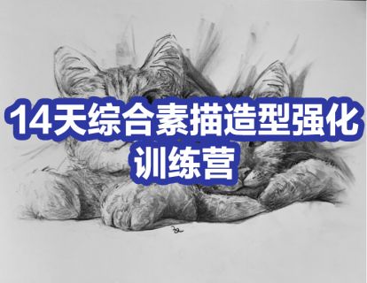 【众筹16.9[红包]·《阿妹艺术学院-14天综合素描造型强化训练营》】