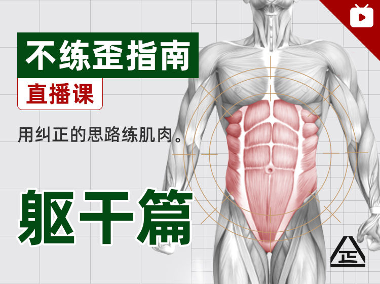 【9.9[红包]·【根正派】不练歪指南｜躯干篇】