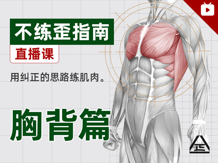 【9.9[红包]·【根正派】不练歪指南｜胸背篇】