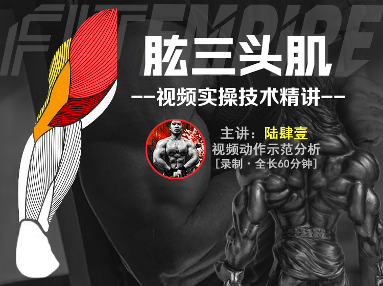 【网课·《FitEmpire健身领域-【肌群模块】肱三头肌训练专精讲解》】