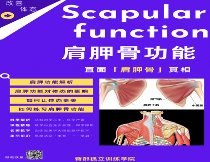 【捐赠39.9[红包]·《臀部孤立训练学院-全方位肩胛骨功能性训练》】