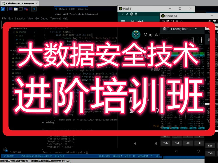 【捐赠99.9[红包]·《Z6175-大数据安全进阶培训班》】 【原版无水印】