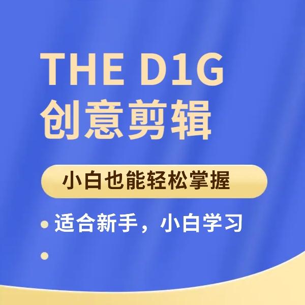 【捐赠49.9[红包]·《Z6240-THE_D1G创意剪辑》】 【原版无水印】