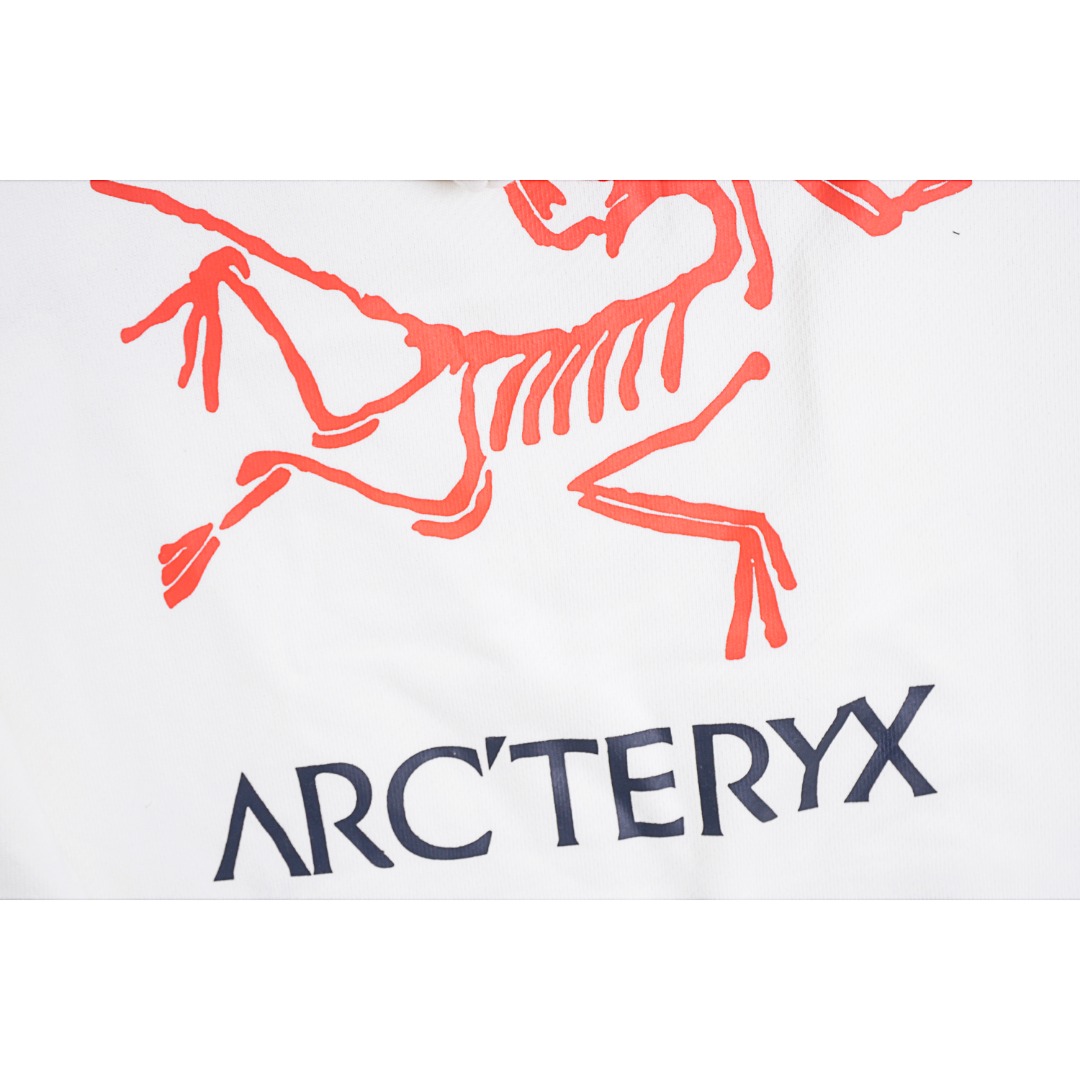 280 ARC'TERYX/始祖鸟 22ss 刺绣小标大印花连帽卫衣