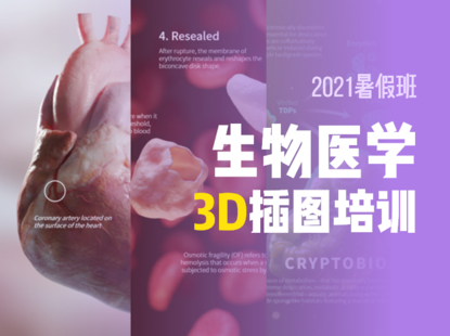 【捐赠89.9[红包]·《Z4589-一目可视-【录制课】生物医学 3D插图培训》】