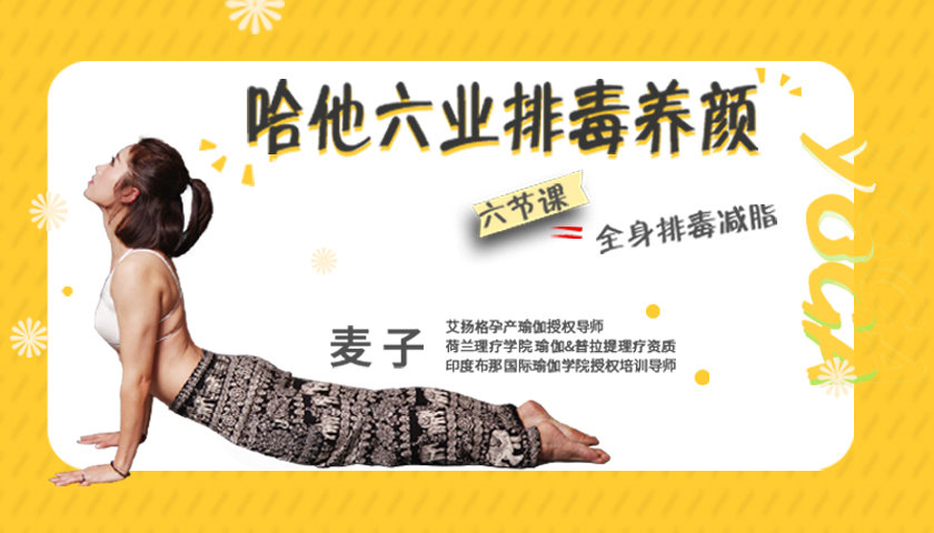 《Z6631-lizhi-哈他六业排毒养颜》